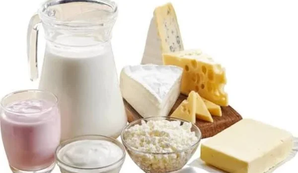 Easy Digestion Dairy Alternatives